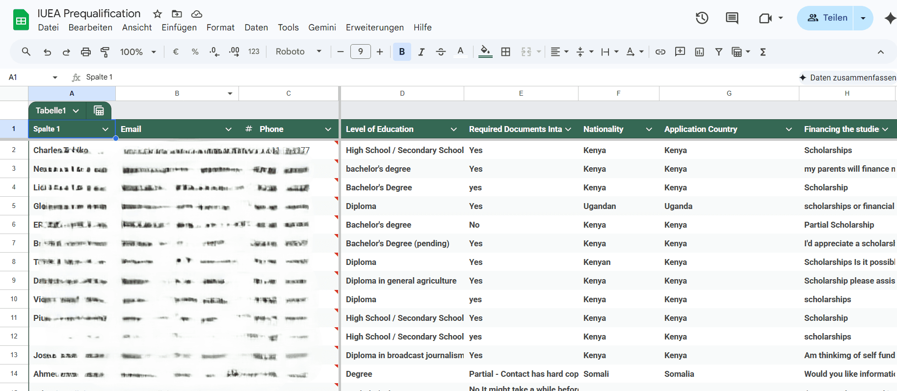 IUEA Vorqualifizierung Google Sheets Screenshot